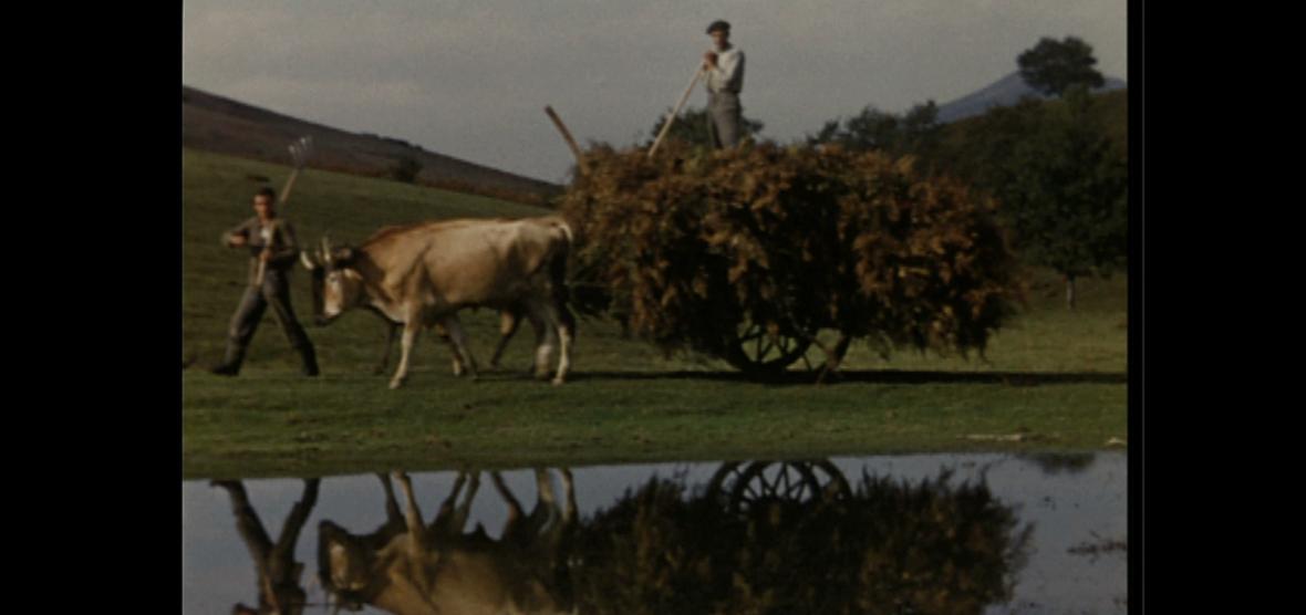 Gure Sor Lekuaren bila