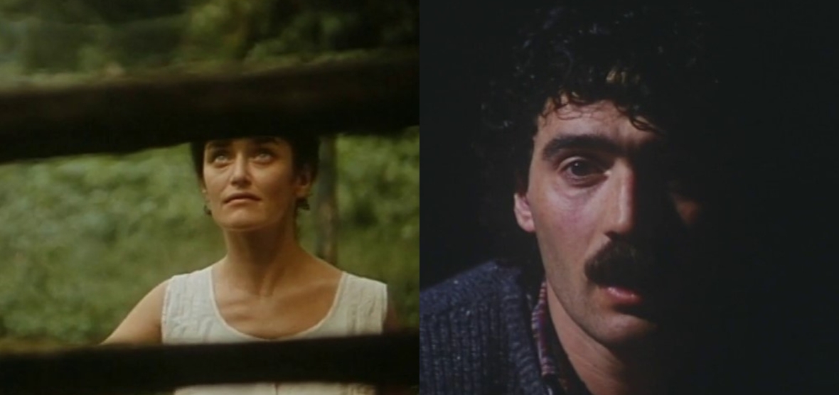 Zergatik panpox / Oraingoz izen gabe