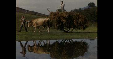 Gure Sor Lekuaren bila