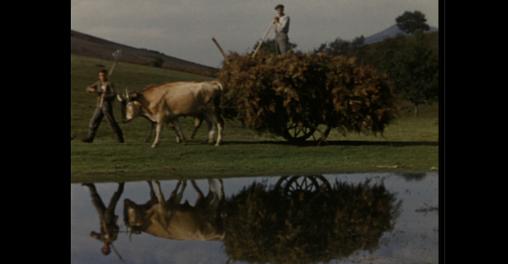 Gure Sor Lekuaren bila