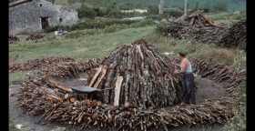 Nafarrako ikazkinak - Carboneros de Navarra